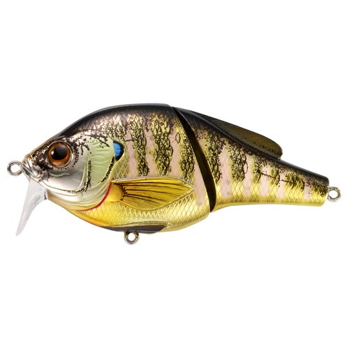 Bluegill Wakebaitoss#4