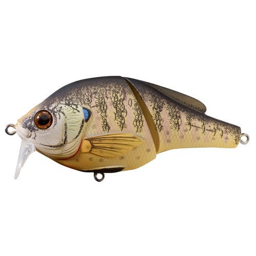 Bluegill Wakebaittte#2