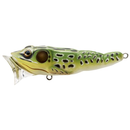 Frog Poppergreen/yellow#6