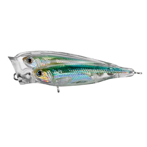 GM Juvenille BB Poppersilver/green#4
