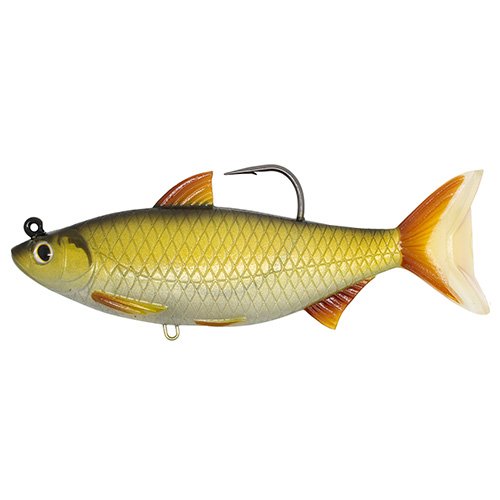 Golden Shiner6 1/2"SBMDgold/BLK11/0
