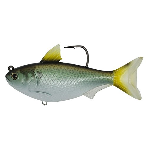 Gizzard Shad5"SBMDGRN/BRNZ8/0