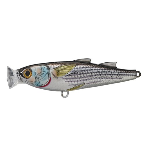 Mullet Poppersilver/black#1