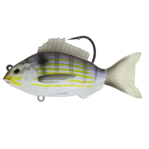 Pinfish4"SBMDSLVR/VLT7/0