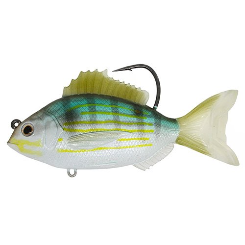 Pinfish3 1/2"SBMDSLVR/GRN5/0