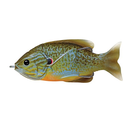 Sunfish HBsurfacenatral/Blu pumpknsd4/0