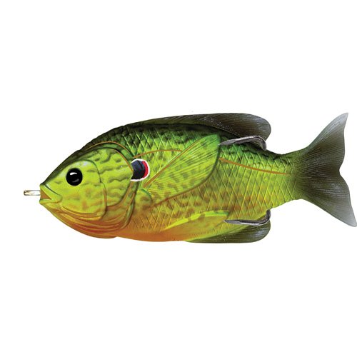 Sunfish HBsurfaceflorescent pmpkinsd4/0