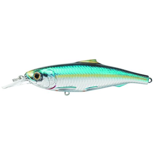 Spanish Sardine JerkbaitSlvr/blue/Grn#1