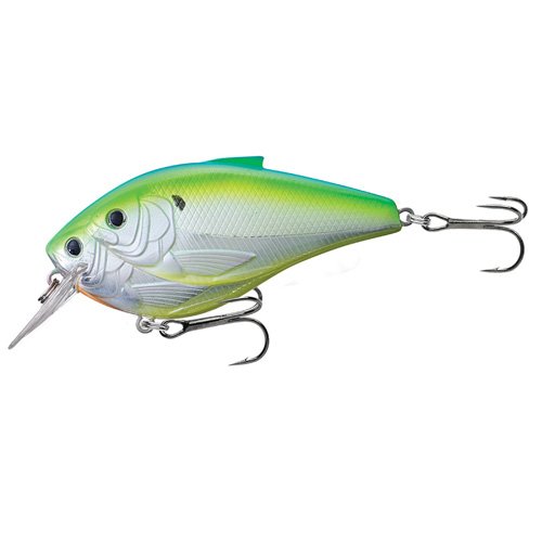 Threadfin Shad CBSDmetalc citrus shad#1