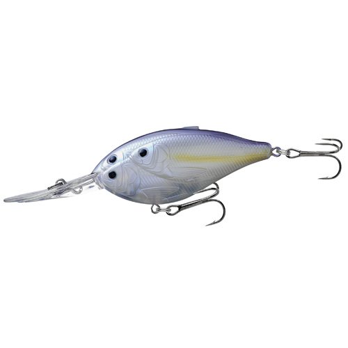 Threadfin Shad CBDDghot/Prlescnt shad#4