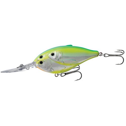 Threadfin Shad CBDDmetlic citrus shad#2