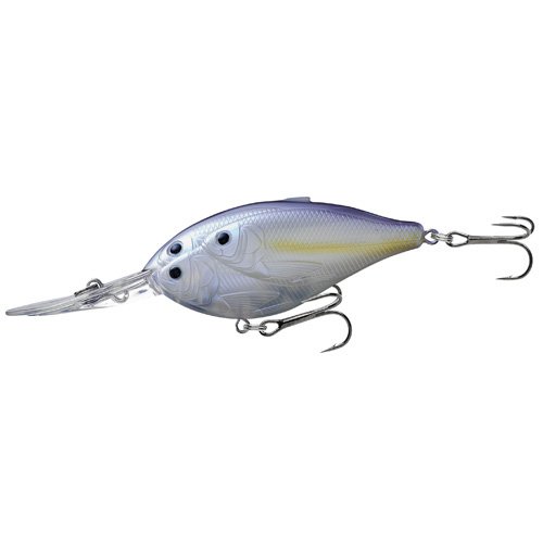 Threadfin Shad CBDDghost/Prlscnt shad#2