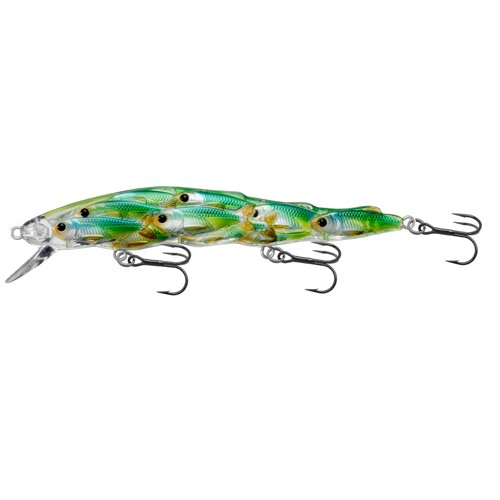 Yearling BB Jerkbaitblu/chrtruse shad#6