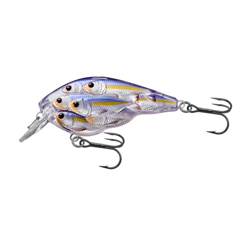 Yearling BB Squarebillpearl/violt shad4